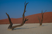 Photos Namibie